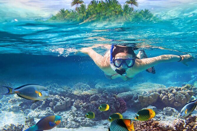 Lihaga Island (white sand island) swimming twice, including lunch and tickets - Authentic Experiences and Real Traveler Insights