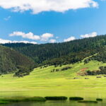 Lijiang: Pudacuo National Park and White Water Terrace Tour - Exploring Pudacuo National Park: What to Expect