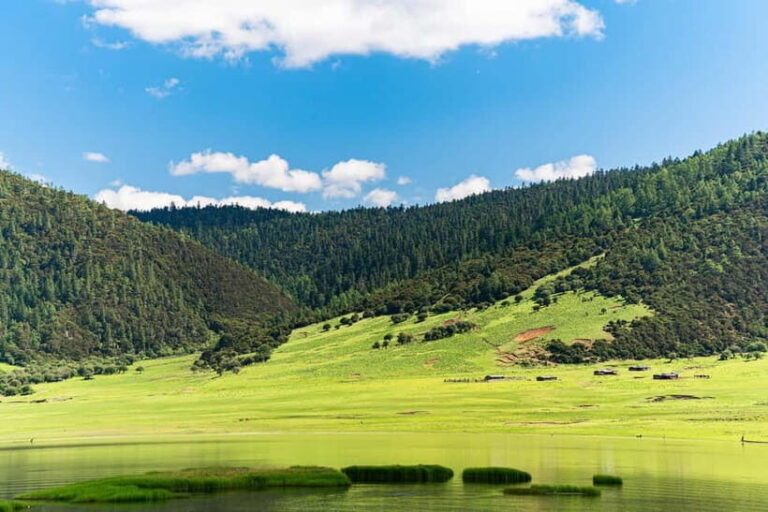 Lijiang: Pudacuo National Park and White Water Terrace Tour - Exploring Pudacuo National Park: What to Expect