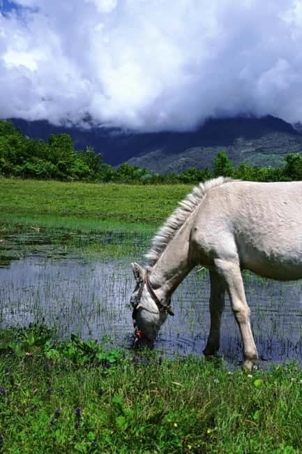 LijiangYulong Snow Mountain Yakniuping Cableway Day Tour - Exploring Jade Dragon Snow Mountain: What to Expect