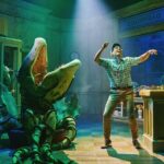 Little Shop of Horrors Off Broadway Show Ticket - Who Should Consider This Experience?