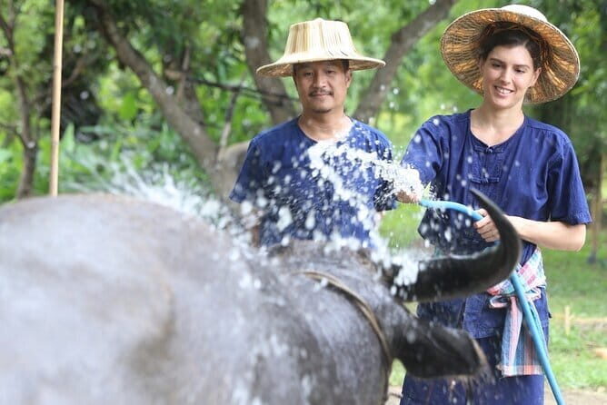 Local Farming Experience in Chiang Mai, Thailand - Summing Up: Who Is This Tour Perfect For?