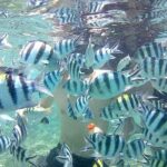 Lombok Tour Package, 4 Days 3 Nights - Why This Tour Stands Out