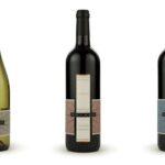 Long Island Wine and Food Day Trip with Sommelier host from NYC - Who Is This Tour Best For?