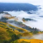 Longji Rice Terraces: 1-Day Private Tour - A Deep Dive Into the Experience