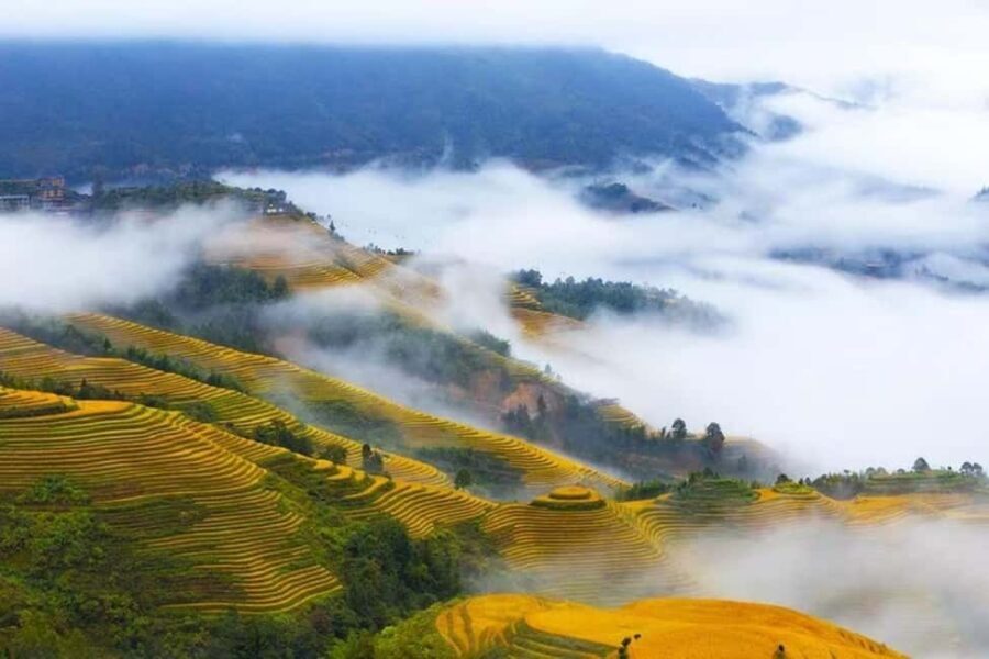 Longji Rice Terraces: 1-Day Private Tour - A Deep Dive Into the Experience