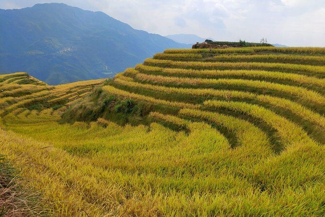 Longji Rice Terraces Day Tour from Guilin hotel - What Travelers Say