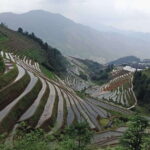 Longji Rice Terraces: Full-Day Private Tour from Guilin - Practical Details and What You Need to Know