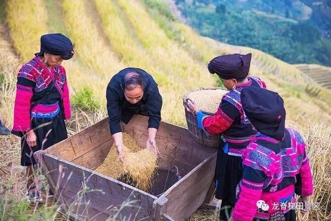 Longji rice terraces & minority villages private day tour - An In-Depth Look at the Longji Rice Terraces & Minority Villages Tour