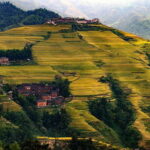 Longsheng Ethnic Minority & Rice Terraces Full-Day Tour - What We Like and What to Consider