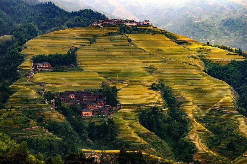 Longsheng Ethnic Minority & Rice Terraces Full-Day Tour - What We Like and What to Consider