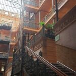 Looney Los Angeles Scavenger Hunt - Why We Love This Tour