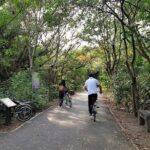 Lost in Bangkok : Green Lung Jungle Bicycle Ride with Lunch - Who Will Love This Tour?