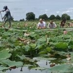 Lotus Silk Farm: Amazing craft classes & boat trip to lotus field - A Deep Dive into the Lotus Silk Farm Experience