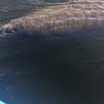 Lovers Key Guided Eco Tour-Mangrove Estuary - Why This Tour Offers Great Value