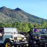 Lovina Dolphin watching and swimming with Dolphin - The Sum Up