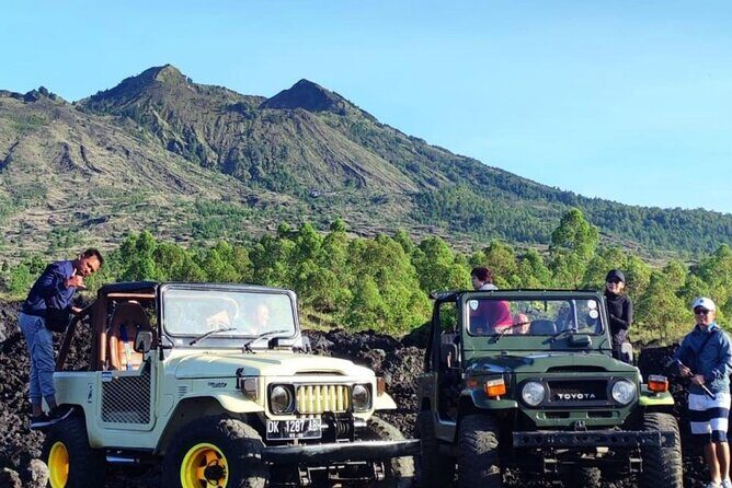 Lovina Dolphin watching and swimming with Dolphin - The Sum Up