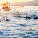 Lovina Sunrise Dolphin & Waterfall Tour - Final Thoughts: Is It Worth It?