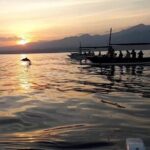 Lovina Sunrise Dolphin with option snorkeling and waterfall - Final Thoughts: Is It Worth It?