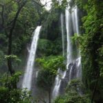 Lovina sunrise with Dolphin watching and Twin Banyumala Waterfall Day Trip - The Benefits of a Private, Well-Organized Tour