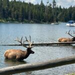 Lower Loop Hot Springs Geysers Private West Yellowstone - Final Thoughts
