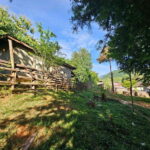 Luang Prabang: Authentic Lao Village & Farm Experience Day - The Practicalities: What to Know