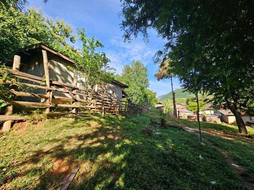 Luang Prabang: Authentic Lao Village & Farm Experience Day - The Practicalities: What to Know