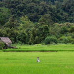Luang Prabang: Countryside Mountain Bike Tour with Lunch - Who Is This Tour Best For?