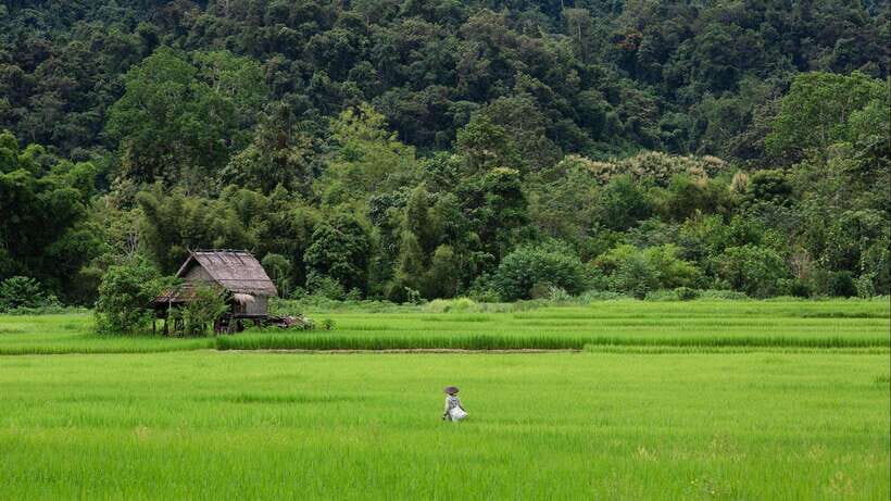 Luang Prabang: Countryside Mountain Bike Tour with Lunch - Who Is This Tour Best For?