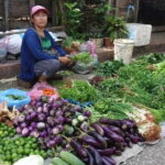 Luang Prabang: Foodie Walking Tour & Monk Blessing - The Itinerary: From Food Stalls to Sacred Temples