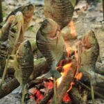 Luang Prabang: Forest Camping Experience with Cooking Class - Final thoughts