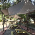 Luang Prabang: Kuang Si Falls, River Tracing Hiking - The Practical Side: What to Expect