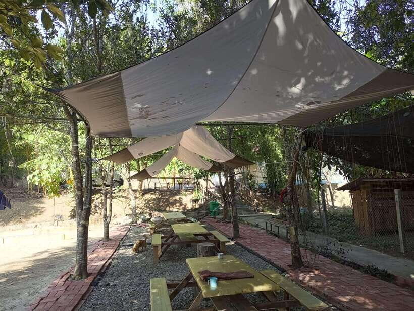 Luang Prabang: Kuang Si Falls, River Tracing Hiking - The Practical Side: What to Expect