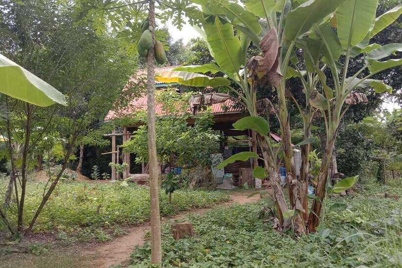 Luang Prabang: Organic Farm Experience & Hike to Kuang si - Who Would Love This Tour?