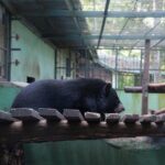 Luang Prabang Private Minivan - What’s the Value?