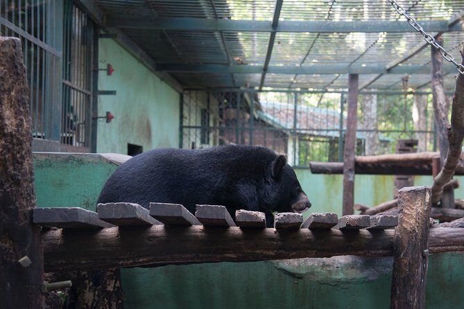 Luang Prabang Private Minivan - What’s the Value?