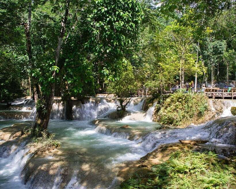 Luang Prabang Thin Pha Trail & Tad Sae Falls Trek - Who Will Love This Tour?