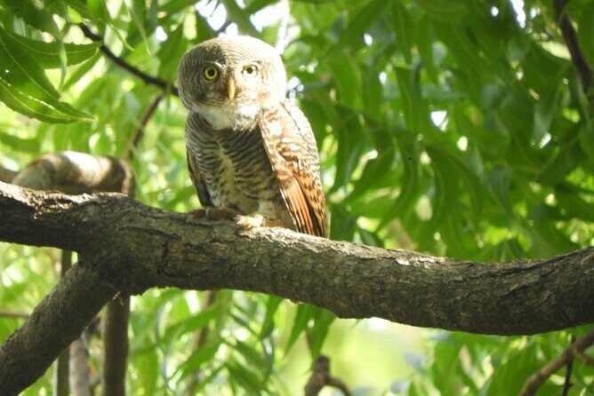 Lunugamvehera National Park Private Safari - The Itinerary in Detail