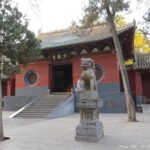 Luoyang Highlights Day Trip of Longmen Grottoes and Shaolin Temple - Practical Tips for Making the Most of Your Day