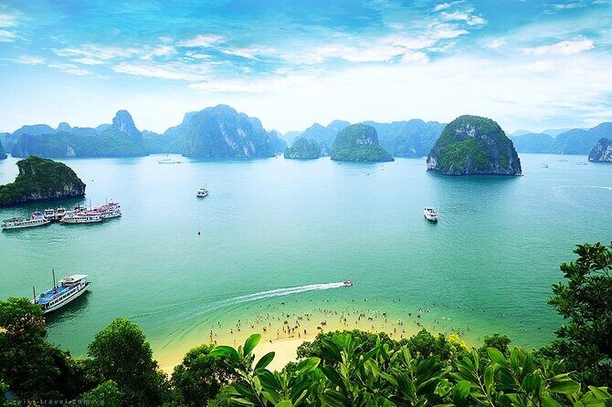 Luxury Bai Tu Long Cruise - Halong Day Trip from Hanoi - Authentic Perspectives: What Guests Say