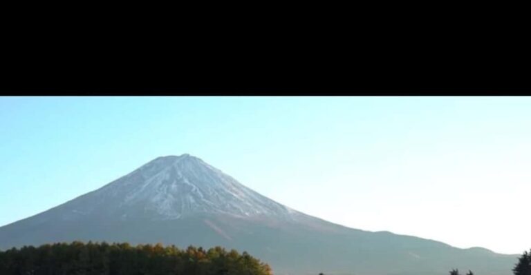 Luxury Benz Private Day Trip to Mount Fuji with Guide - Who Will Love This Tour?