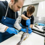 Luxury Fish Shop Tour : Exclusive Backyard Experience - FAQ