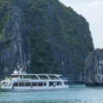 Luxury Halong Bay 1 Day on Cruises From Hanoi with Bus & Lunch - Who Is This Tour Best Suited For?