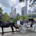 Luxury Horse and Carriage Tours in Central Park - Why This Tour Works Well