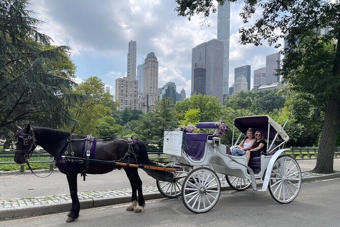 Luxury Horse and Carriage Tours in Central Park - Why This Tour Works Well