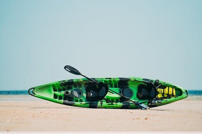 Luxury Kayak Tour To An Island Off Clearwater Beach! - (Tandem) - The Sum Up: Why This Tour is a Great Choice