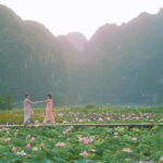 Luxury Limousine Tour: Hoa Lu, Trang An/Tam Coc & Mua Cave - A Deep Dive into the Tour: From Historical Sites to Breathtaking Views