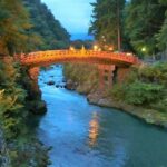 Luxury Nikko Gateway;Private Guided tour - Who Should Consider This Tour?