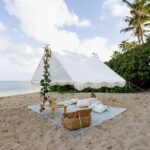 Luxury Picnic in Honolulu with Ocean & Crater Views - The Private Experience
