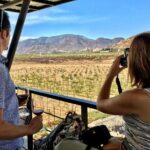 Luxury Private Wine Tasting Tour to Guadalupe Valley from San Diego - Practical Considerations